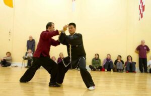 Wang and Niall demonstrating Tai Chi moves
